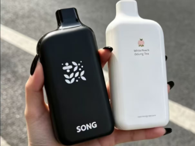 崧冰砖 SONG崧A38冰果系列 一次性雾化设备 核心解析