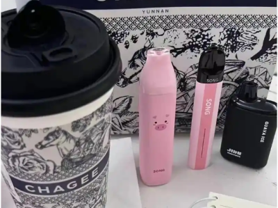 Song崧条A06一次性电子烟：官网售价与性价比分析