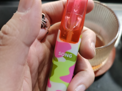 Song菘鸭嘴兽一次性4500口测评：超长续航与多样体验