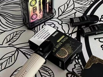 song崧盒一次性电子烟9000口