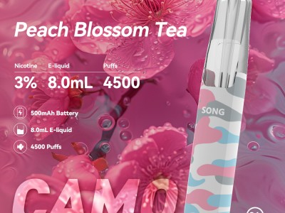 Song崧鸭嘴兽电子烟深度解析：迷彩外观背后的品牌实力与市场争议