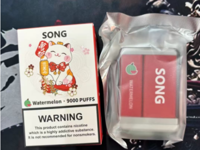 Song崧盒与雪加大板砖：性价比大比拼，哪款更适合你？