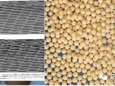 探索电子烟多孔陶瓷雾化芯：四大创新成孔技术解析