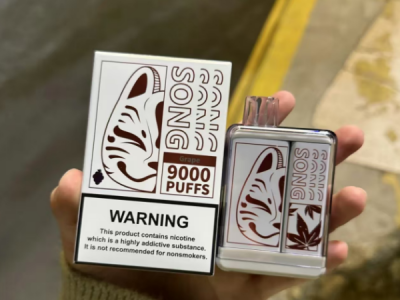 Song崧盒 vs 雪加大板砖：2025电子烟深度对比与选购指南