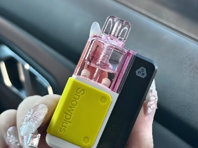 雪茄积木与鸭嘴兽电子烟：谁才是你的不二之选？