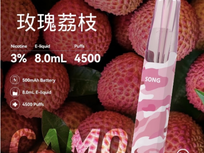 Song菘一次性鸭嘴兽电子烟：值得入手的宝藏之选？