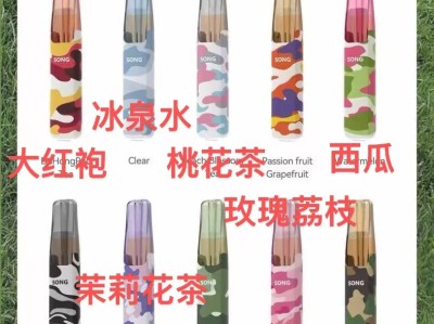 Song崧鸭嘴兽电子烟多少钱一支？