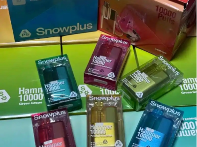 雪加鸭嘴兽与大板砖：一次性电子烟的深度对比与购买建议