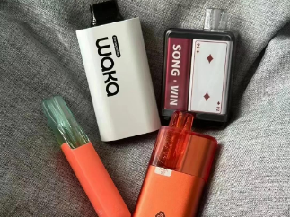 万口之选：雪茄大板砖鸭嘴兽系列一次性电子烟深度解析