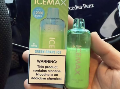 新手必看！Ice冰爆对比雪加大板砖：追求口感还是续航？一文看懂怎么选。