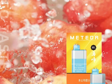 迷睿乌啼：国标一次性电子烟的新宠