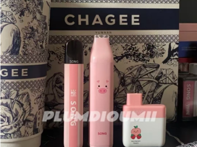 Song崧条一次性电子烟深度测评：8000口超长续航+真实果味，新手闭眼入还是智商税？  